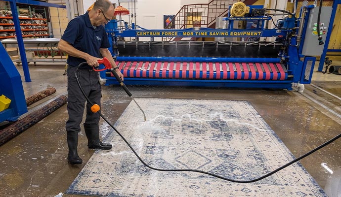 Area rug cleaning using professional equipment
