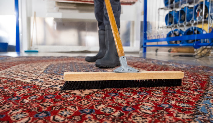 Rug cleaning service with handheld brush