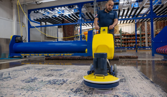 Person cleaning rug with equipment