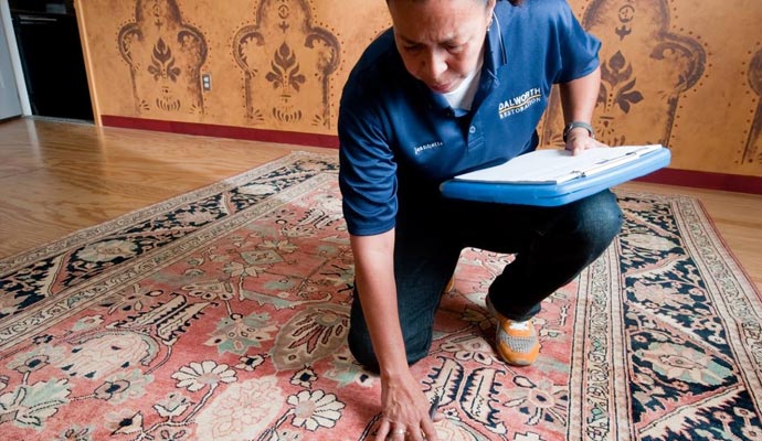 Area rug inspection service