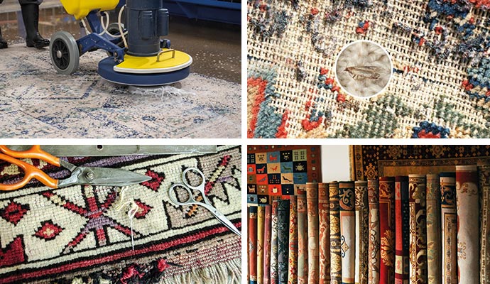 Collage of rug cleaning, moth on rug, rug repair and stored rug