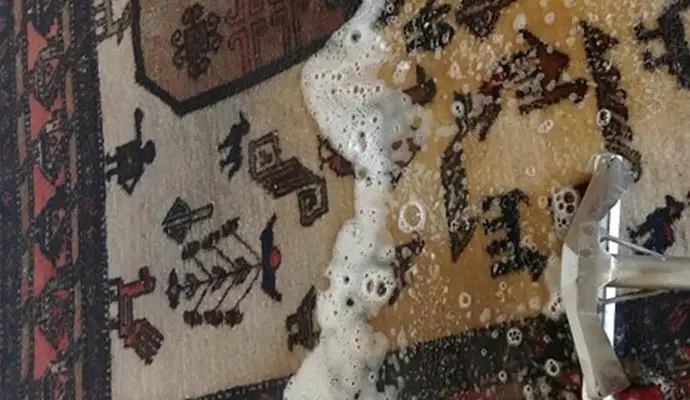Pet Odor Removal From Rug