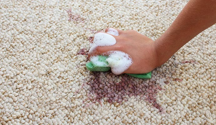 Soil and Stain Rug Protection in Dallas-Fort Worth | Dalworth
