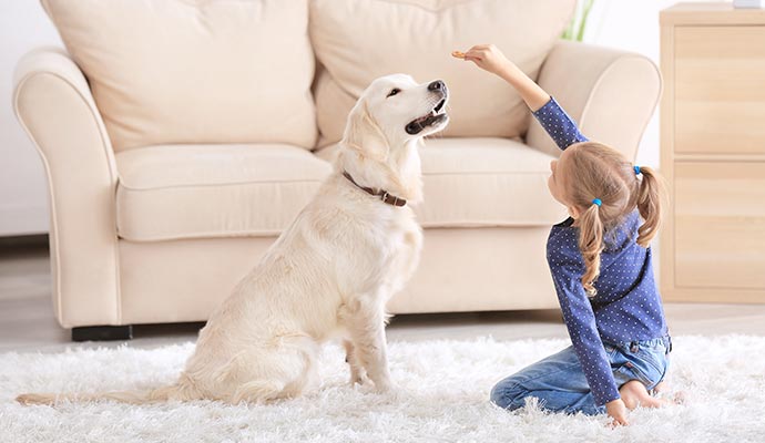 Young girl playing with a dog on a white colored rug