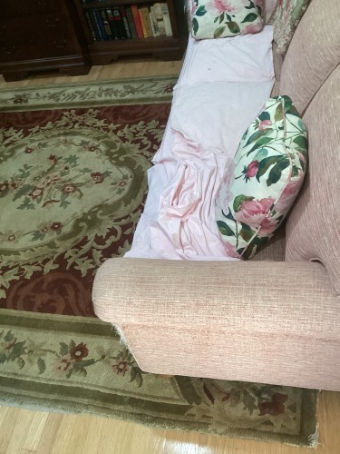 Expert residential rug cleaning and repair service for an ornate rug with frayed serging and soil.