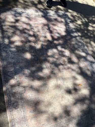 Expert residential rug cleaning for pet stains and odors including professional frayed serge edge repairs.