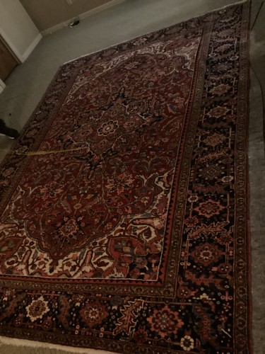 Large red and black ornate Persian rug needing pet stain and odor removal service
