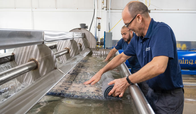 Person cleaning area rug