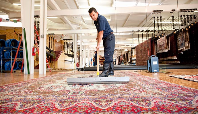 Professional area rug maintenance service