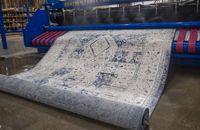 Professional rug cleaning with heavy equipment in action.