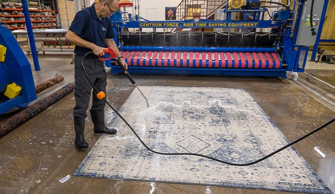 Professional rug cleaning using an equipment