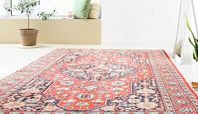 Cleaned rug on the floor