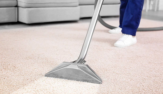 Rug cleaning service
