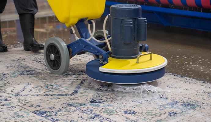 Professional rug cleaning service using advanced equipment