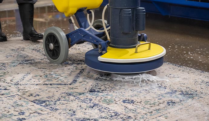 Professional worker cleaning rug
