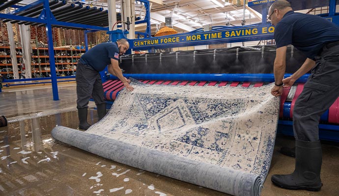 Rug deep cleaning service