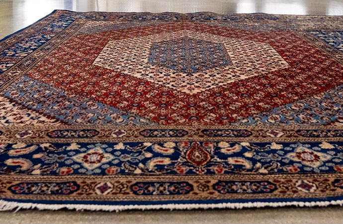 Rug Fiber Protector & Pads on the floor