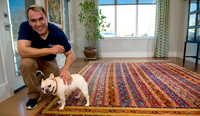 Technician inspecting a rug in a home with a dog nearby