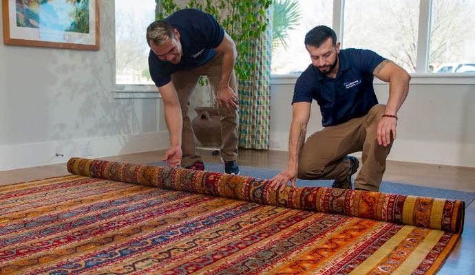 Rug protection protector and stain repellent
