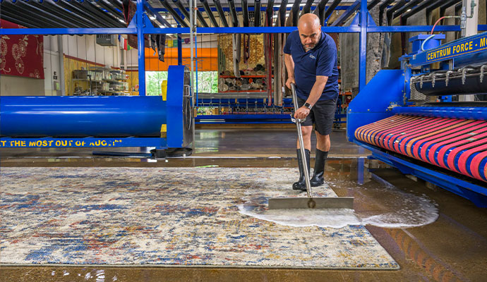 An expert cleaning a rug using professional equipment